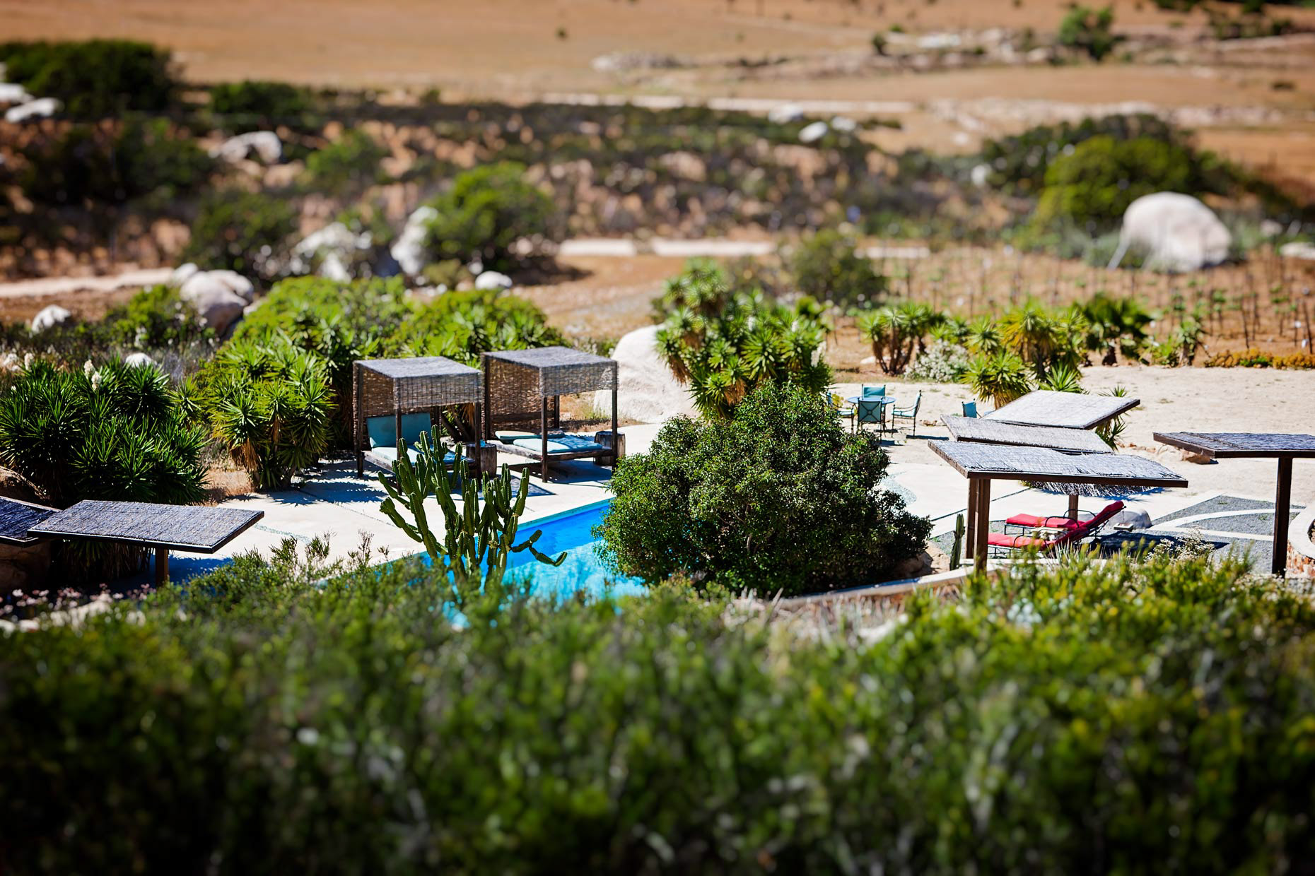 2015-04-Ensenada-MX-193-copy-1045