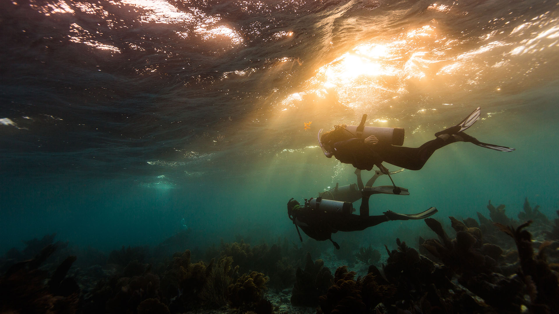Underwater Lifestyle Photographer Denver Colorado